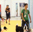 国际宠物博览会在海南举行 世界名犬陪你“闹”国庆 - 海口网