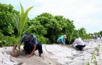 南海上的“纤夫”：工人三沙海域拖运树木 - 中新网海南频道