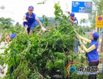 “莎莉嘉”远离登陆地 万宁全力开展灾后恢复（图） - 海南新闻中心