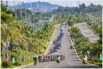 环海南岛自行车赛第五赛段：沃尔谢德盛气不减迎三连冠 - 海南新闻中心