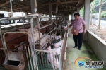 儋州爱心人士韦欢娥创办农疗站 建起残疾人幸福家园 - 海南新闻中心