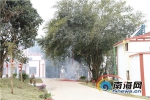 白沙县银坡村完成整体搬迁 生态移民村庄美如画 - 海南新闻中心