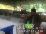 琼中牙代村贫困户成立豪猪养殖合作社 年收入超30万元 - 海南新闻中心
