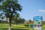 春节三亚七天乐 八大公园免费开放任你游 - 海南新闻中心