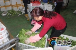 春节海口菜篮子集团日投放量近300吨 超市天天营业 - 海南新闻中心
