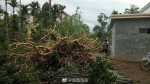 突发消息：龙卷风侵袭万宁 致16间房屋受损 - 海南新闻中心