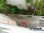 海口两栋别墅被举报围墙加高楼顶搭架 被勒令停工(图) - 海南新闻中心