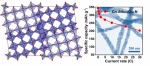 海南大学林春富课题组在期刊《ACS Nano》发表最新研究成果 - 海南大学