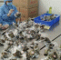 “粽”到东北 儋州市22吨粽子“漂洋过海”运往吉林省 - 海南新闻中心
