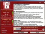 截至昨晚 海南有29个IP疑似感染新型电脑病毒 - 海南新闻中心