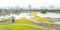 海口全面保护修复湿地 凝心聚力筑起青山绿水百年大计 - 环境保护局