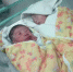 暖心！双胞胎的妈妈有救了 爱心捐款已达12万元（图） - 海南新闻中心