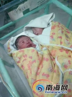 暖心！双胞胎的妈妈有救了 爱心捐款已达12万元（图） - 海南新闻中心
