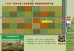 海南乐东首个共享农庄开工 将采用水肥一体化智能灌溉系统 - 海南新闻中心