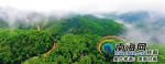海南不断探索多种生态补偿机制 守护森林生态资源 - 环境保护局
