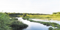 专家高度评价海口湿地保护修复 - 环境保护局