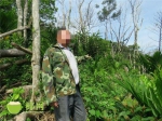 毁坏林木四十多立方米！琼中一男子被取保候审 - 海南新闻中心
