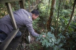 陈庆对山中的各种动植物如数家珍，路边一株植物结果了，他俯身观察。王晓斌 摄 - 中新网海南频道
