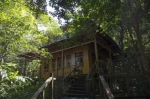 被护林员称作“老点”的一个站点 双层木质结构宛如林中别墅。王晓斌 摄 - 中新网海南频道