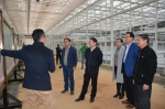 徐南平副部长考察海口桂林洋
罗牛山农产品加工产业园和农业“梦工厂” - 科技厅