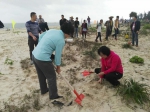 海口美兰区组织人员参加3.12植树节义务种植海防林活动 - 海南新闻中心