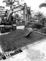 绿化带挖出“口” 硬开条路给车走追踪：秀英区政府要求严处乱开挖行为 - 海南新闻中心