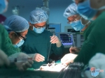 海医二附院器官移植科开科仪式举行 海南首个器官移植科成立 - 海南新闻中心