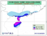 台风“贝碧嘉”今天将登陆广东到海南一带 - 中新网海南频道