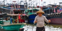 海南临高渔港：海洋大县的多样化渔业之路 - 中新网海南频道