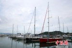 通讯：海南游艇业迎来“桅杆时代” - 中新网海南频道