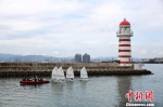 通讯：海南游艇业迎来“桅杆时代” - 中新网海南频道
