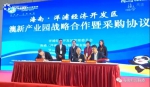 首届中国国际进口博览会掀起海南“热度” 对外开放合作处处有商机 - 科技厅