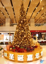 生生国际圣诞亮灯闪耀椰城 6.5米圣诞树金光璀璨 - 海南新闻中心
