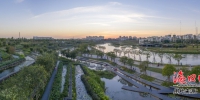 致敬改革开放40周年|湿地入城 生态海口水韵现 - 环境保护局
