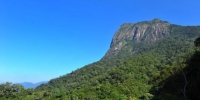 海南岛1/7陆域面积开展热带雨林国家公园体制试点 - 中新网海南频道