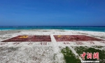 珊瑚沙盘、海草旗帜 中建岛官兵自造"景点"乐守天涯 - 中新网海南频道