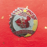 红色传奇·收藏：纪念章串起红色足迹 - 中新网海南频道