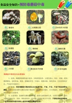 勿采、勿食、不买、不卖 海南省食安办教你预防毒蘑菇中毒方法 - 海南新闻中心