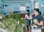防御台风保供稳价 海口调运储备约450吨常用蔬菜 - 海南新闻中心