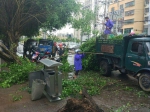 海口琼山迅速开展台风灾后重建工作 - 海南新闻中心