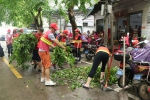 海口琼山区志联积极开展台风“韦帕”过境环境恢复志愿服务活动 - 海南新闻中心