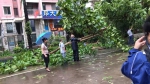 抗击“韦帕” 全员出击——美兰区人民街道第一时间开展灾后恢复工作 - 海南新闻中心