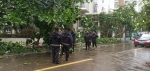 抗击“韦帕” 全员出击——美兰区人民街道第一时间开展灾后恢复工作 - 海南新闻中心