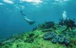 打卡海南潜水胜地：潜到海底，做一条自在的鱼 - 海南新闻中心