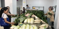 海口“菜篮子”蔬菜库存733吨 量足价稳迎中秋国庆 - 海南新闻中心