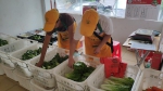 家门口就能买到“一元菜” 海口首批社区蔬菜直销车进小区了 - 海南新闻中心