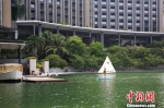 三亚高端酒店趋向“景区化” - 中新网海南频道
