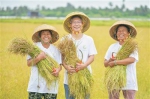海南新农人 | 吕方：改良盐碱地 种出“黄金稻” - 海南新闻中心