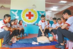 十月十四日，海南医学院大学生救援队队员交流心肺复苏术的按压方法。 李天平 摄 - 中新网海南频道