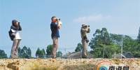 蔡挺(左一)和鸟友们在观鸟。 受访者提供 - 中新网海南频道